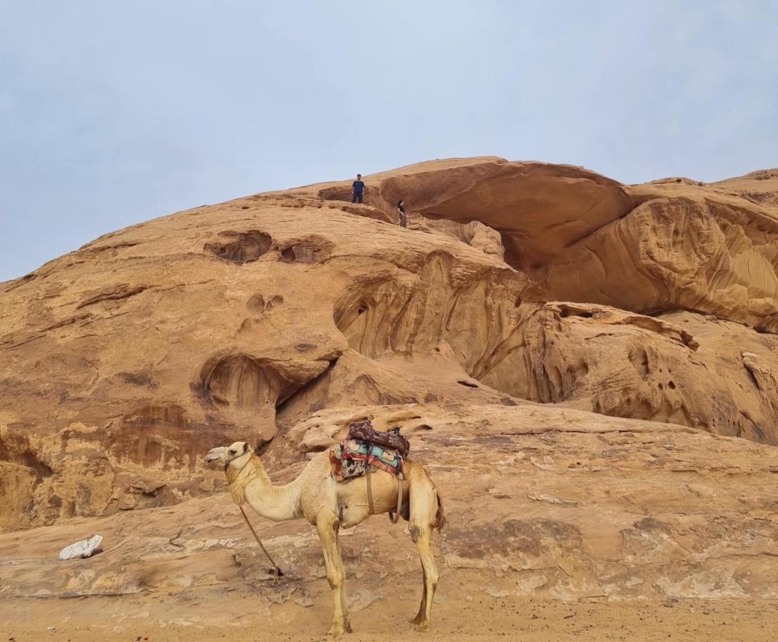 Wadi Rum Hugo Camp ภายนอก รูปภาพ