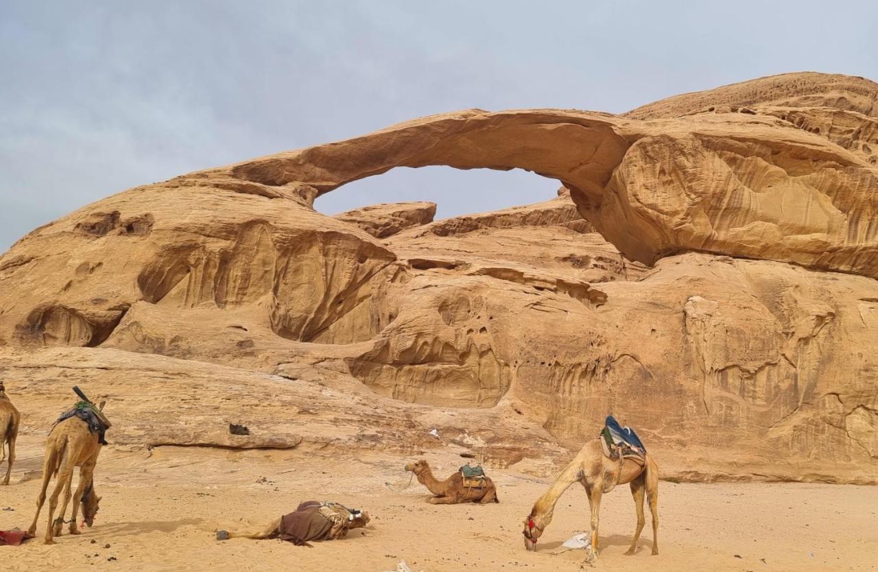 Wadi Rum Hugo Camp ภายนอก รูปภาพ